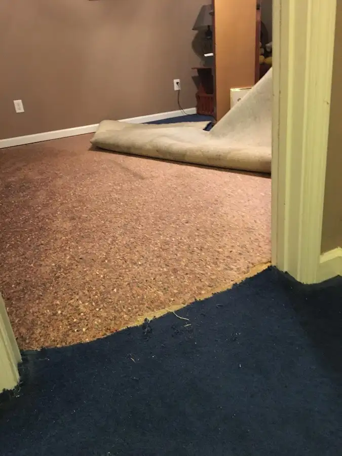 Carpet pad removal revealing water damage during Drying & Dehumidification in Sanford
